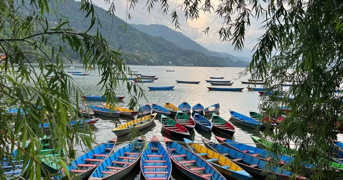Phewa lake